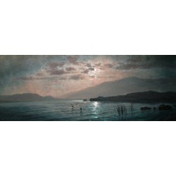 Moonlight Sparkle Lakeland