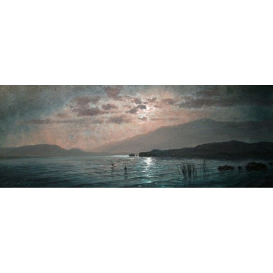 Moonlight Sparkle Lakeland