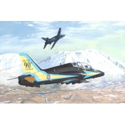 208 Squadron Anniversary Hawk